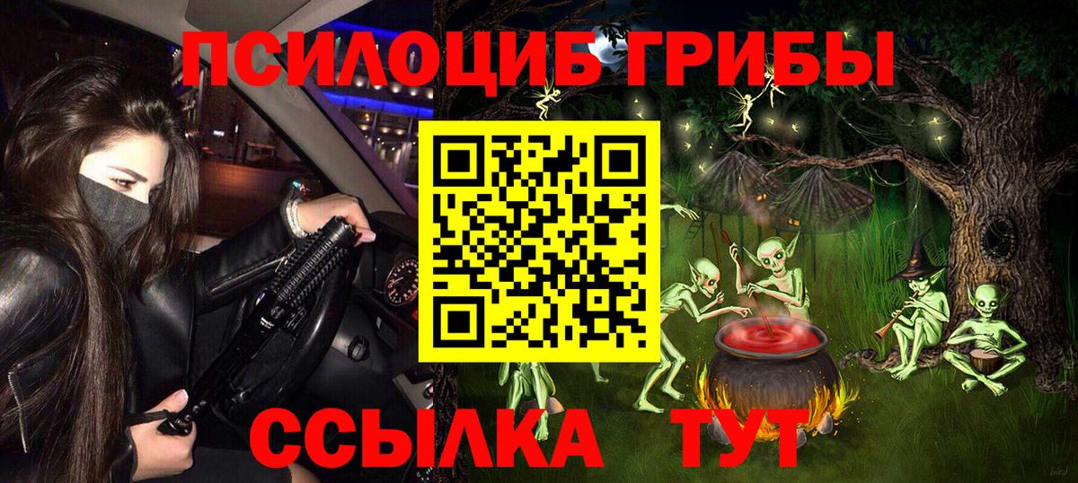Псилоцибиновые грибы Psilocybine cubensis Бугуруслан